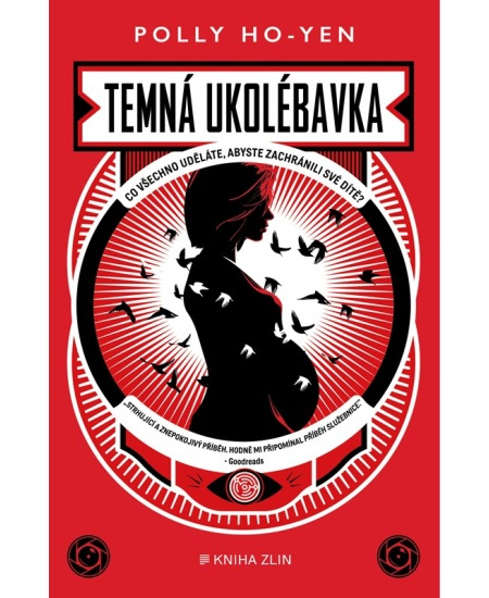 Temná ukolébavka - Polly Ho-Yen