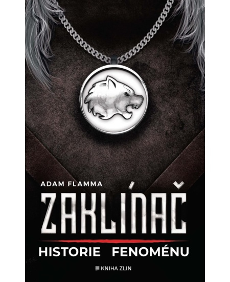 Zaklínač – historie fenoménu - Adam Flamma