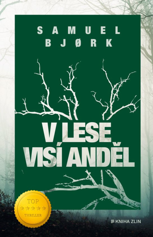 V lese visí anděl - Samuel Bjork