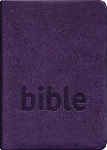 Bible (Český studijní překlad)