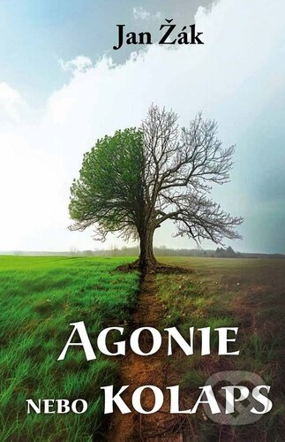 Agonie nebo kolaps - Jan Žák - kniha z kategorie Poezie