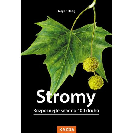 Stromy - Holger Haag