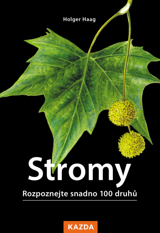Stromy - Holger Haag