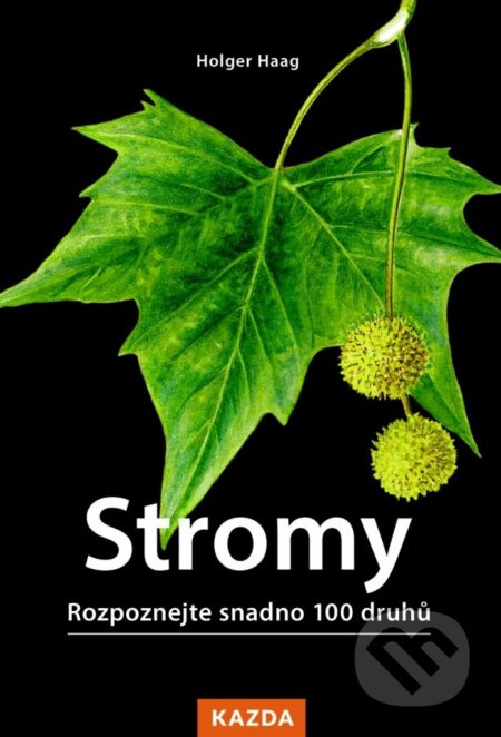 Stromy - Holger Haag