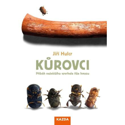 Kůrovci - Jiří Hulcr
