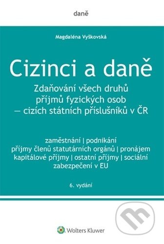 Cizinci a daně - Magdaléna Vyškovská - kniha z kategorie Odborné a naučné