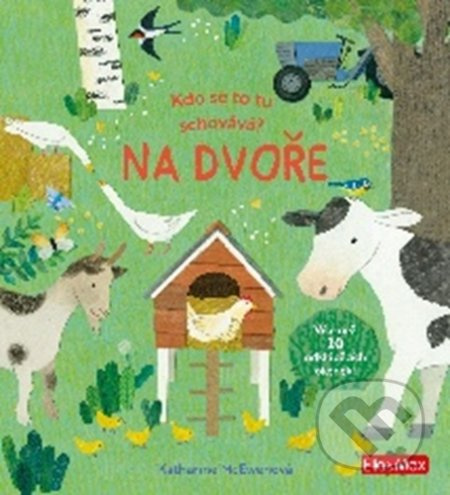 Kdo se to tu schovává? Na dvoře - Katherine McEwenová