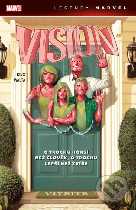 Vision - Tom King