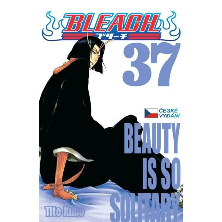 Bleach 37: Beauty Is So Solitary - Tite Kubo