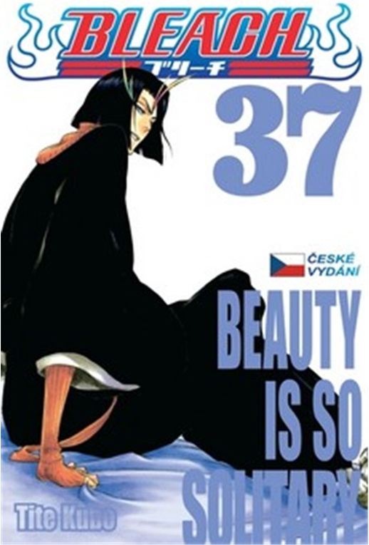 Bleach 37: Beauty Is So Solitary - Tite Kubo