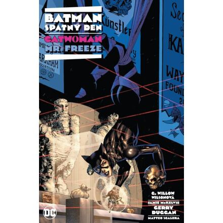 Batman - Špatný den: Catwoman / Mr. Freeze - Gerry Duggan, Jenny McKelvie, G. Willow Wilsonová