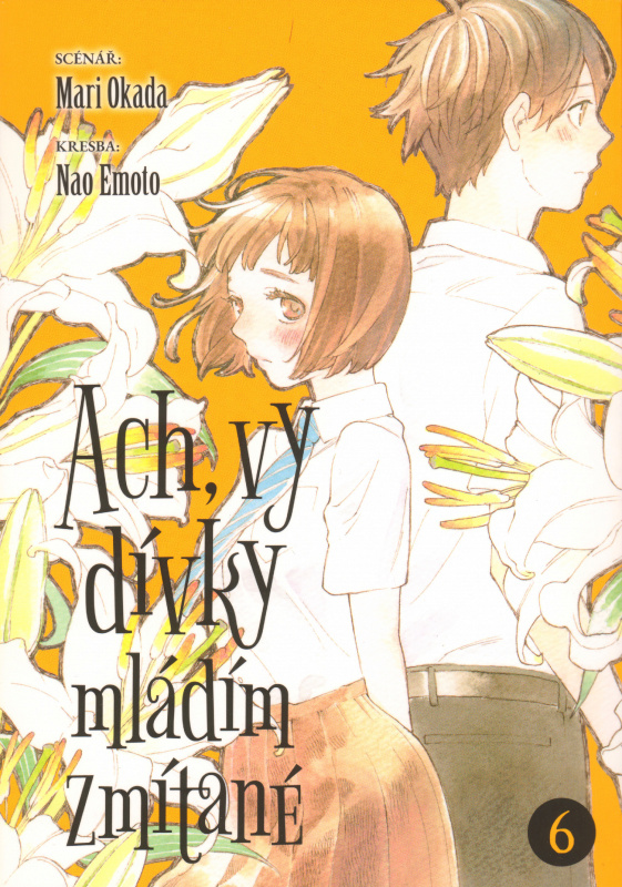 Ach, vy dívky mládím zmítané 6 - Mari Okada