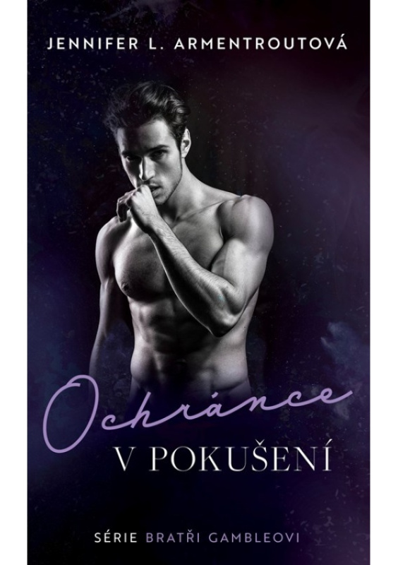 Ochránce v pokušení - Jennifer L. Armentroutová