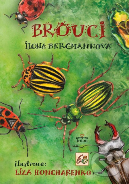 Brouci