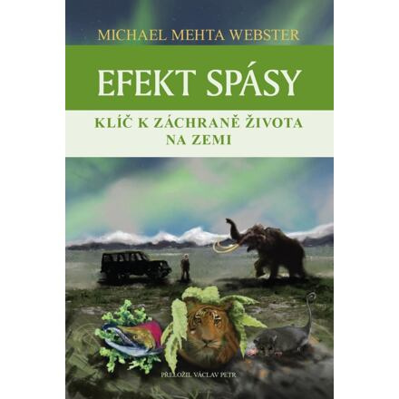 Efekt spásy - Michael Mehta Webster