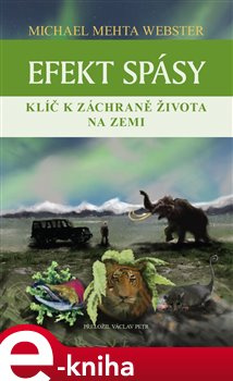Efekt spásy - Michael Mehta Webster