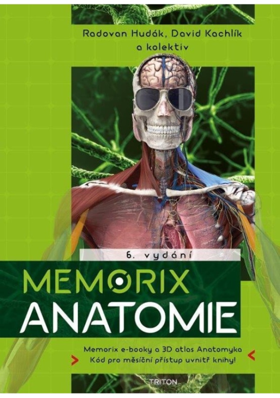 Memorix anatomie