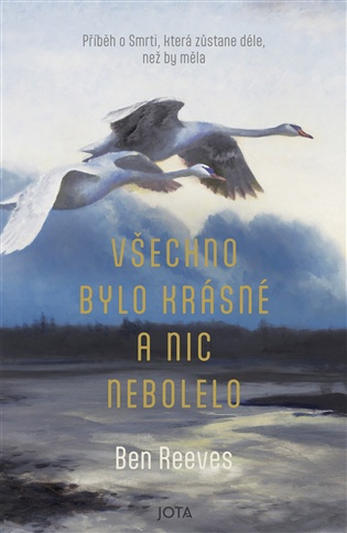 Všechno bylo krásné a nic nebolelo