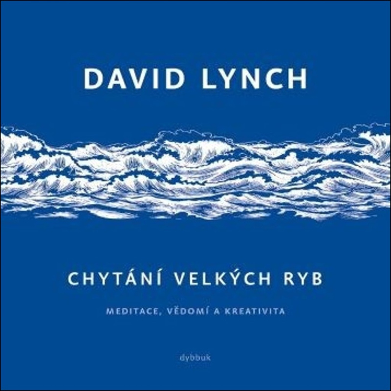 Chytání velkých ryb - David Lynch - kniha z kategorie Film