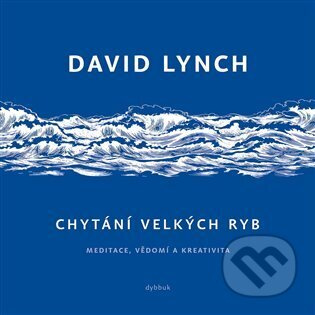 Chytání velkých ryb - David Lynch - kniha z kategorie Film