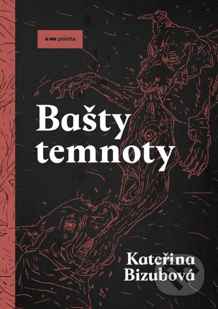 Bašty temnoty - Kateřina Bizubová