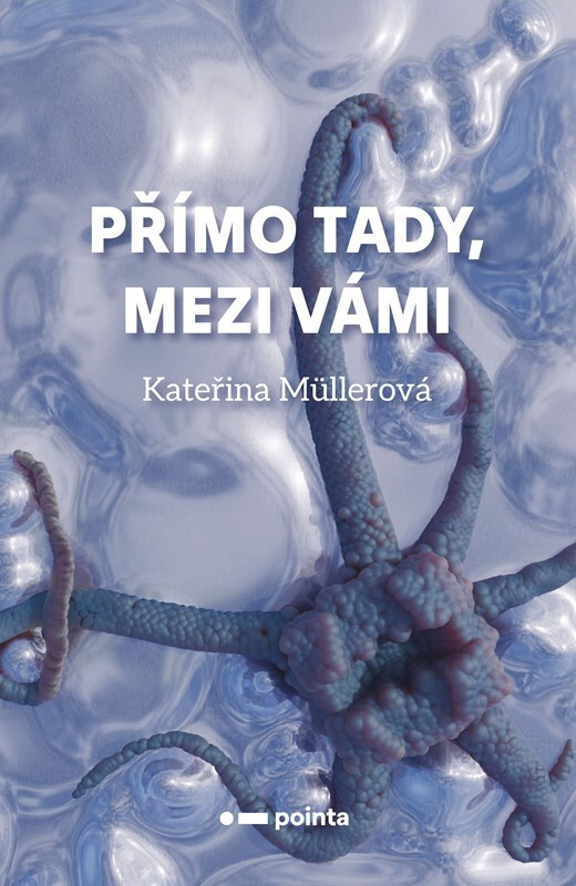 Přímo Tady, Mezi Vámi Pointa