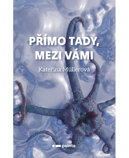 Přímo Tady, Mezi Vámi Pointa
