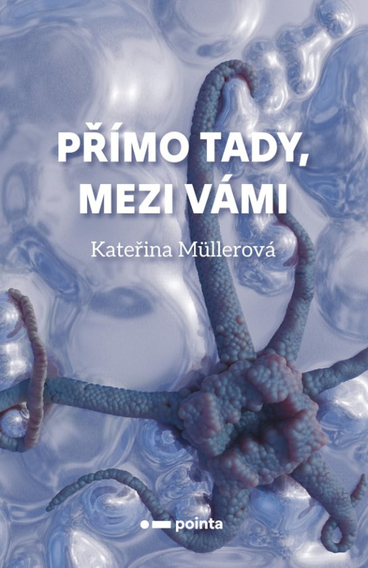 Přímo Tady, Mezi Vámi Pointa