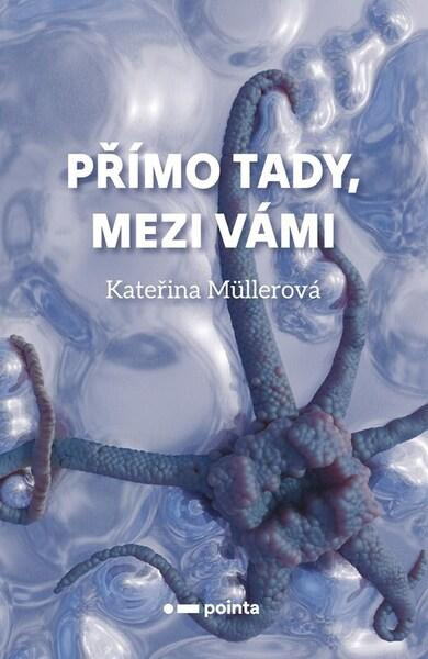 Přímo Tady, Mezi Vámi Pointa