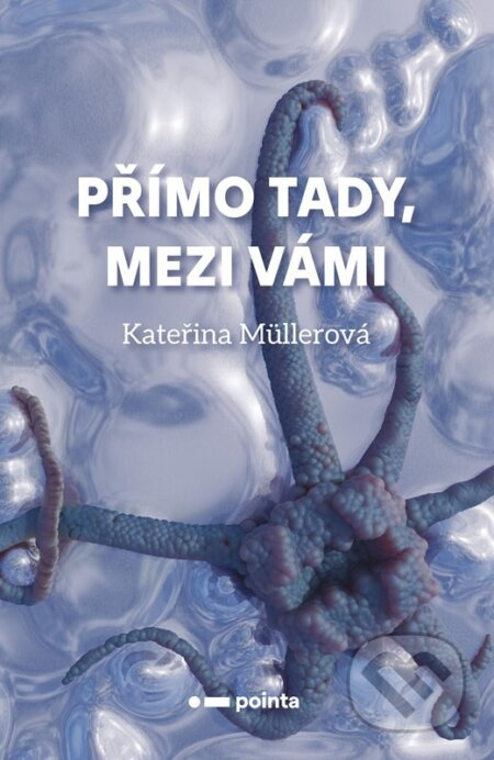 Přímo Tady, Mezi Vámi Pointa