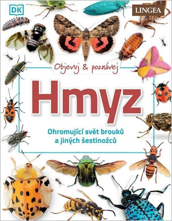 Hmyz -