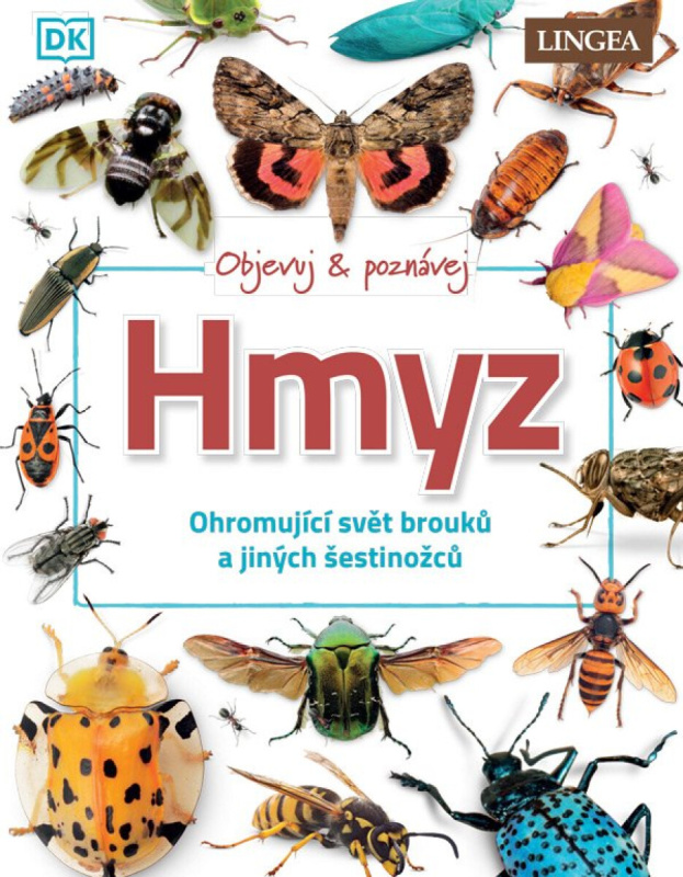 Hmyz -