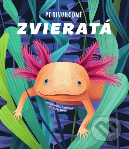 Podivuhodné zvieratá - Rossella Trionfetti (Ilustrátor), Cristina Banfi - kniha z kategorie Beletrie pro děti