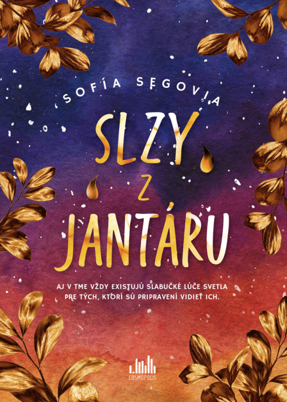 Slzy z jantáru (Aj v tme vždy existujú slabučké lúče svetla) - kniha z kategorie Společenská beletrie