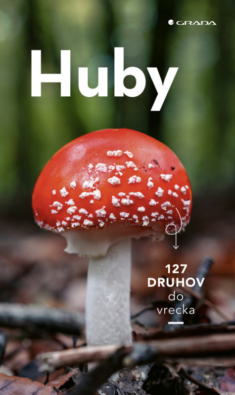 Huby (Spoznajte najznámejšie huby našich lesov) - Markus Flück - kniha z kategorie Přírodní vědy a technika