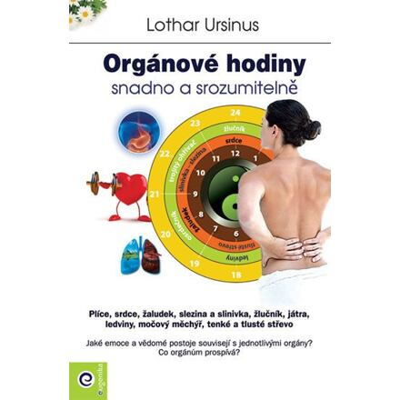 Orgánové hodiny snadno a srozumitelně