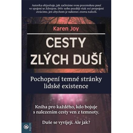 Cesty zlých duší - Pochopení temné stránky lidské existence