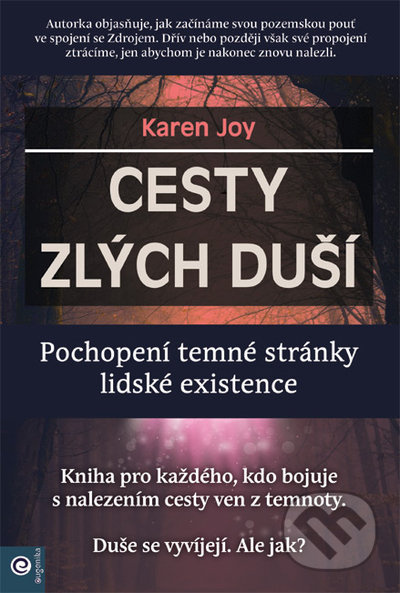 Cesty zlých duší - Pochopení temné stránky lidské existence
