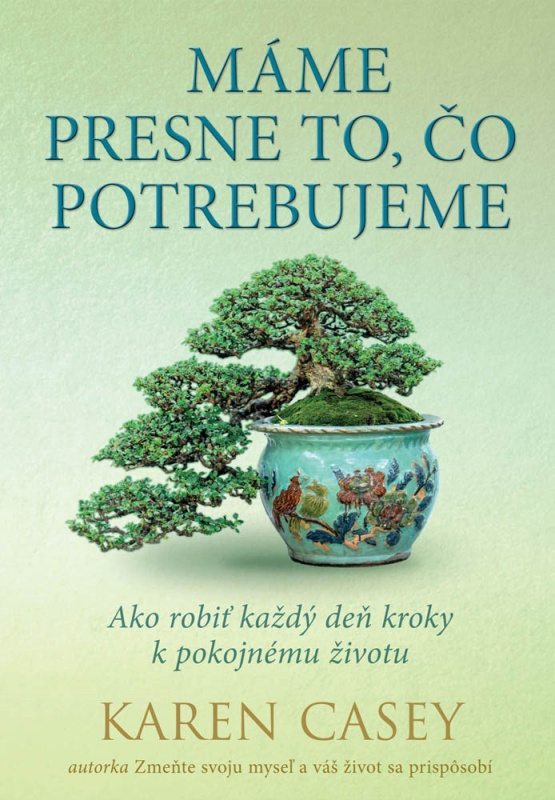 Máme presne to, čo potrebujeme (Ako robiť každý deň kroky k pokojnému životu) - kniha z kategorie Motivace a seberozvoj