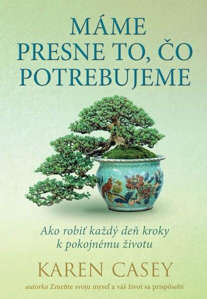 Máme presne to, čo potrebujeme (Ako robiť každý deň kroky k pokojnému životu) - kniha z kategorie Motivace a seberozvoj