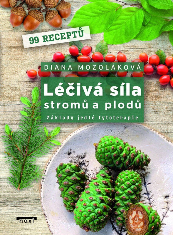 Léčivá síla stromů a plodů (Základy jedlé fytoterapie) - kniha z kategorie Domáca liečba
