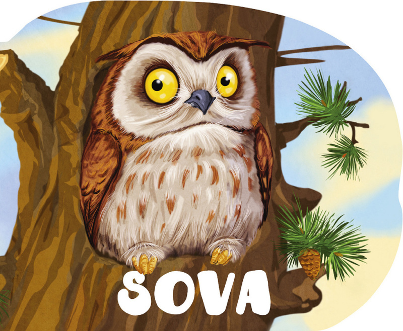 Sova - kniha z kategorie Pro děti