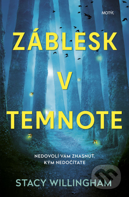 Záblesk v temnote (Nedovolí vám zhasnúť, kým nedočítate) - kniha z kategorie Thrillery