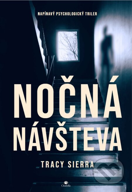 Nočná návšteva - Tracy Sierra - kniha z kategorie Detektivky, thrillery a horory