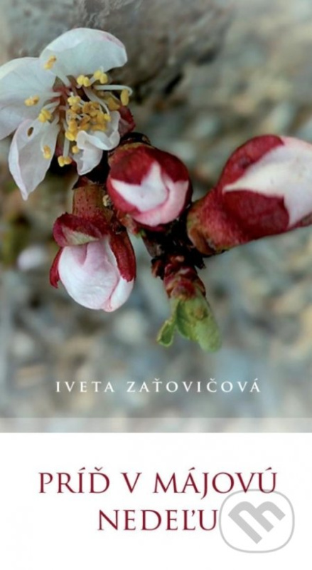 Príď v májovú nedeľu - Iveta Zaťovičová - kniha z kategorie Beletrie