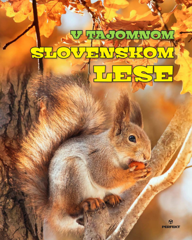 V tajomnom slovenskom lese - Roman Jadroň, Miroslav Saniga - kniha z kategorie Naučné knihy