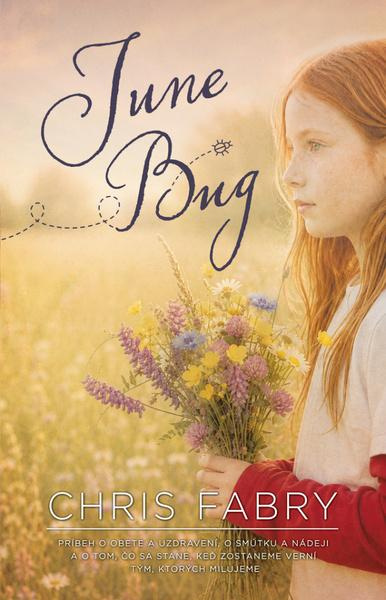 June Bug (Príbeh o obete a uzdravení, o smútku a nádeji a o tom, čo sa stane, keď zostaneme verni tým, ktorých milujeme) - kniha z kategorie…