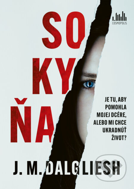 Sokyňa (Je tu, aby pomohla mojej dcére, alebo mi chce ukradnúť život?) - kniha z kategorie Thrillery