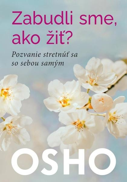 Zabudli sme ,ako žiť? (Pozvanie stretnúť sa so sebou samým) - kniha z kategorie Motivace a seberozvoj