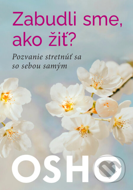 Zabudli sme ,ako žiť? (Pozvanie stretnúť sa so sebou samým) - kniha z kategorie Motivace a seberozvoj